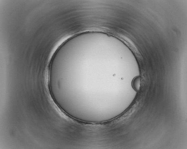 X0000112740804200908201034