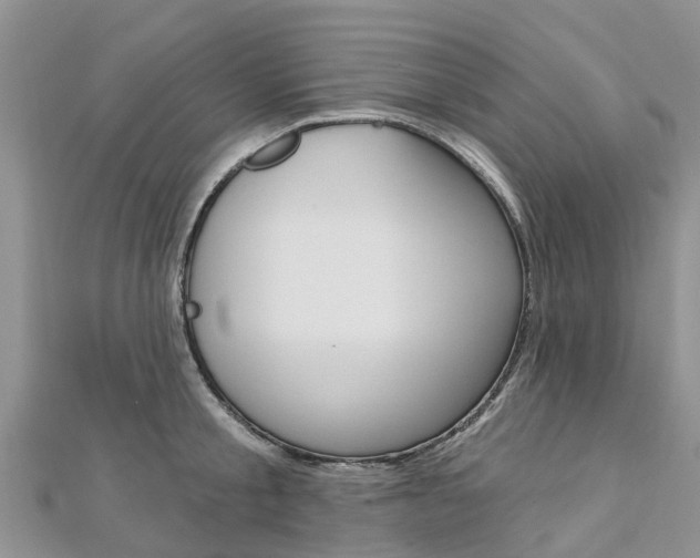 X0000112740805200908201034