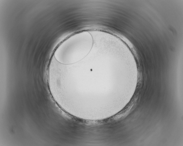 X0000112740807200908201034
