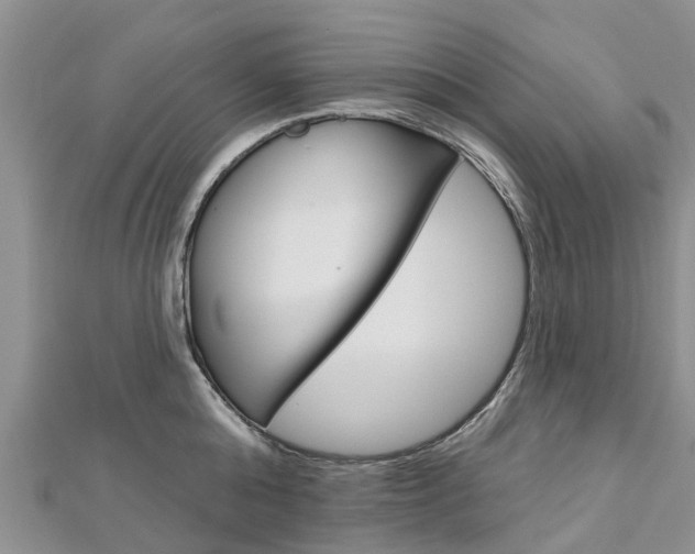 X0000112740808200908201034
