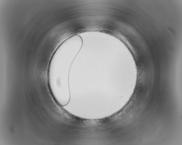 X0000112740810200908201034