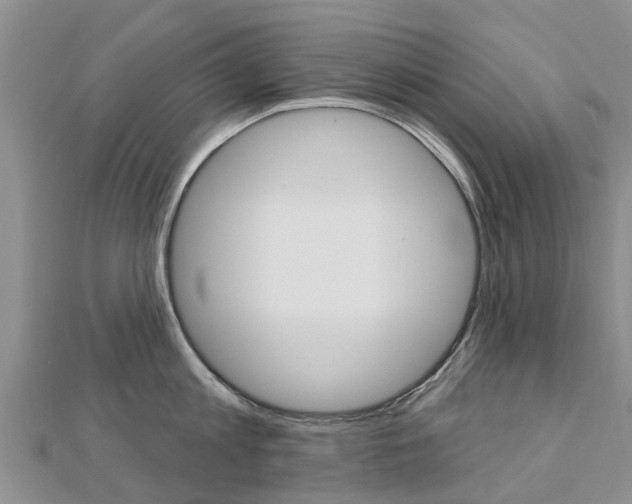 X0000112740813200908201034