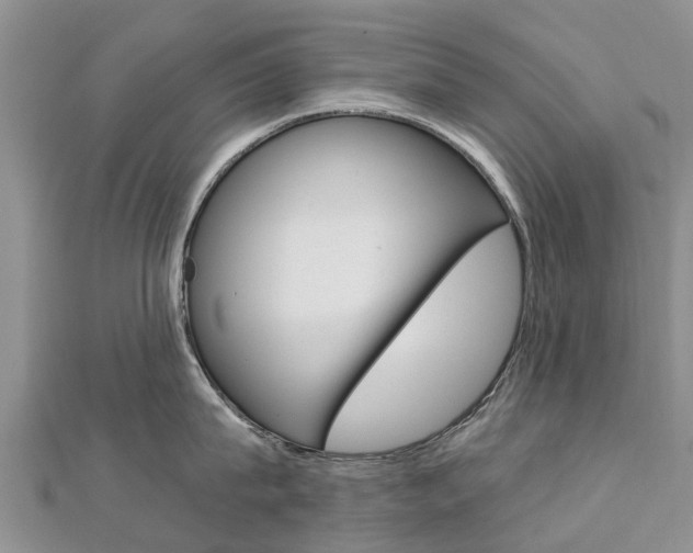 X0000112740815200908201033