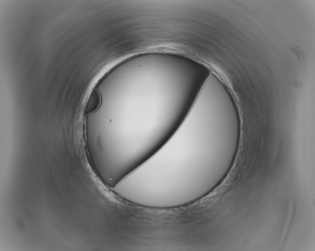 X0000112740816200908201033