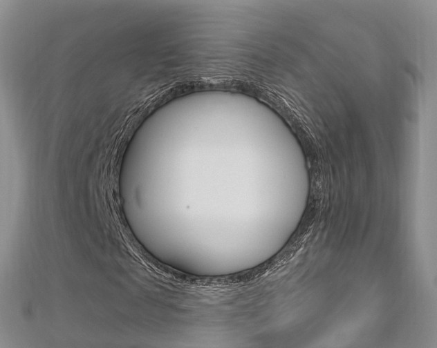 X0000112740817200908201033