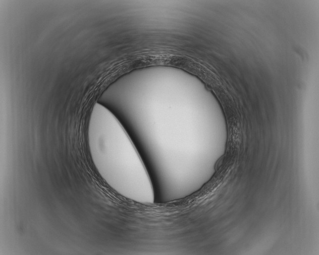 X0000112740818200908201033