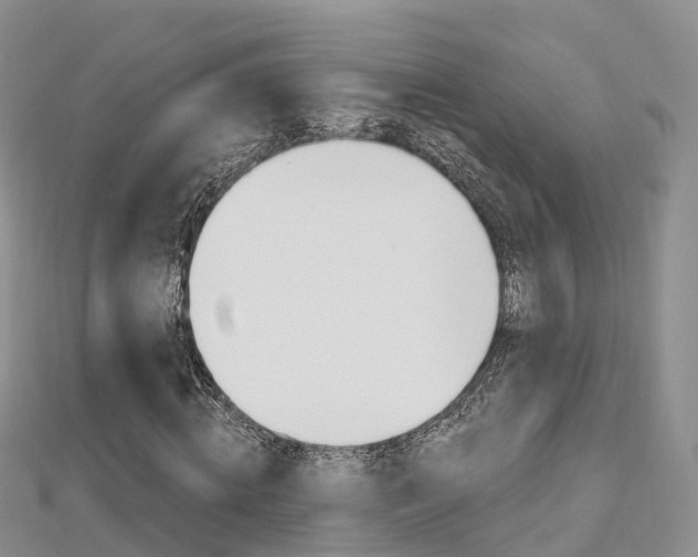 X0000112740820200908201033