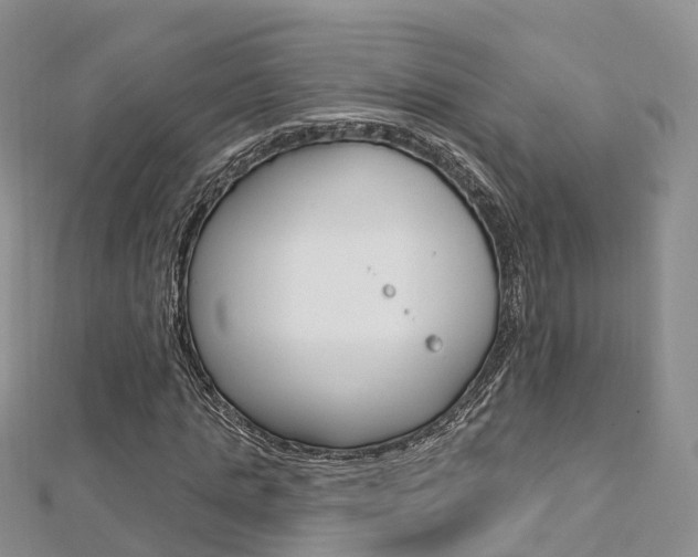 X0000112740821200908201033