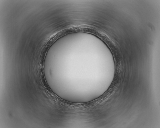 X0000112740822200908201033