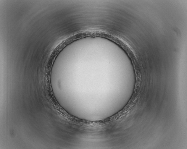 X0000112740823200908201033