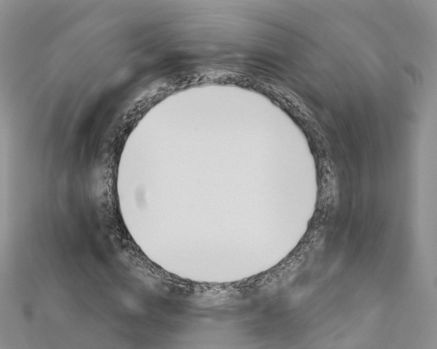 X0000112740824200908201033