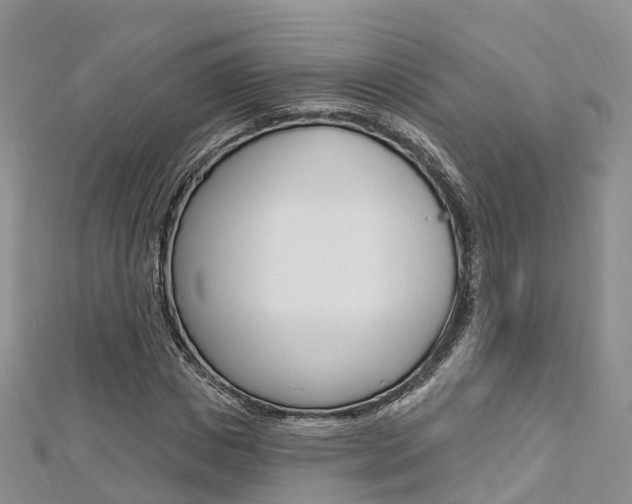 X0000112740825200908201033