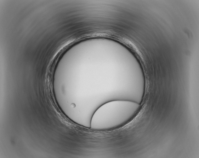 X0000112740827200908201033