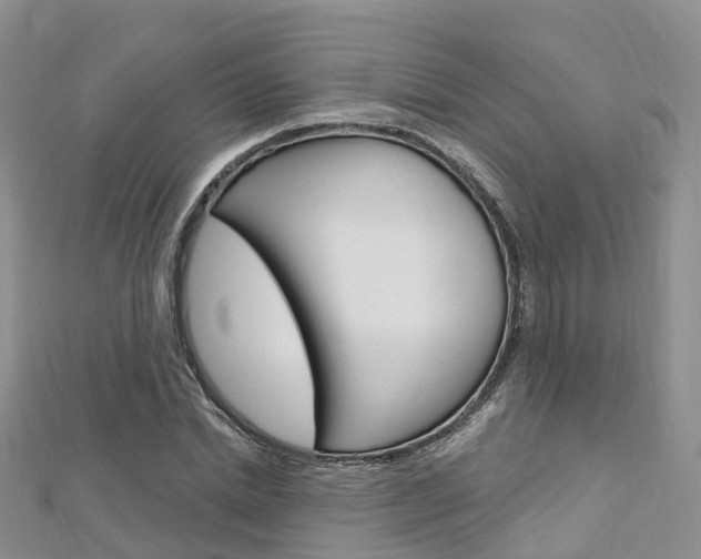 X0000112740830200908201033