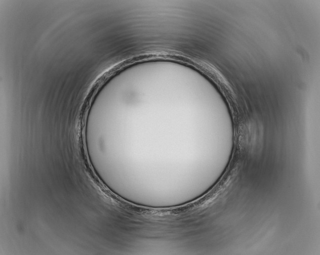 X0000112740831200908201033
