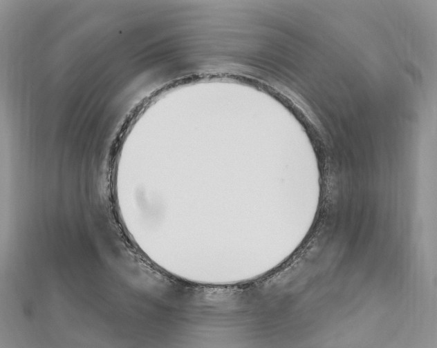 X0000112740832200908201033
