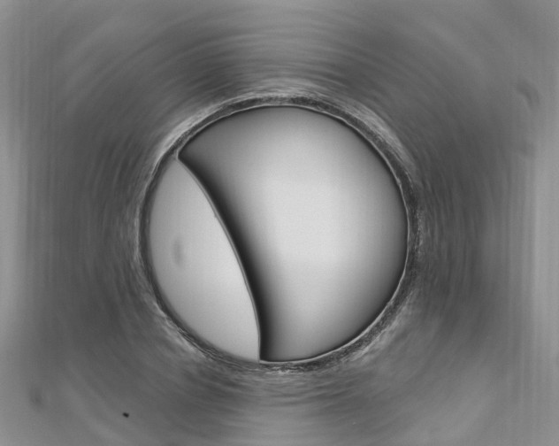 X0000112740834200908201033
