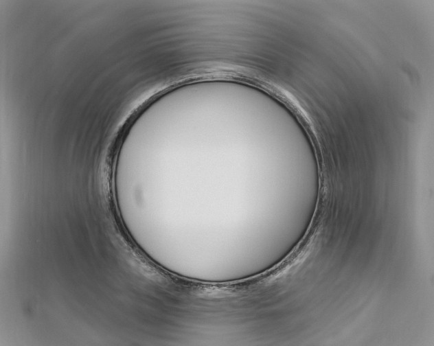 X0000112740835200908201033