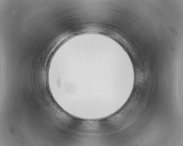 X0000112740836200908201033