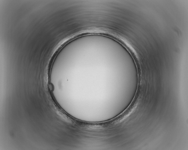X0000112740837200908201033