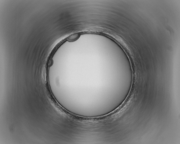 X0000112740838200908201033