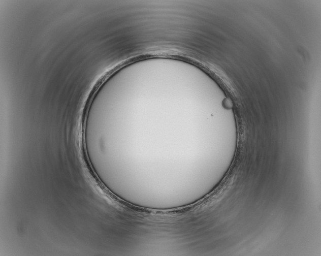 X0000112740840200908201033