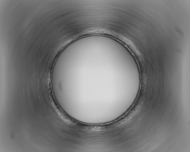 X0000112740841200908201033