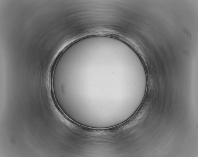 X0000112740843200908201033