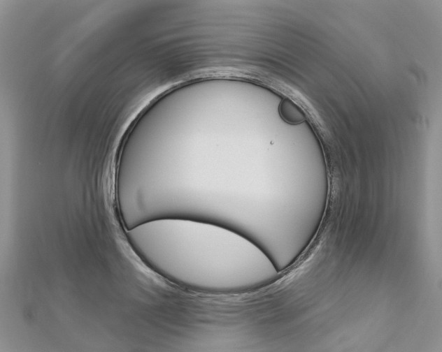 X0000112740844200908201033