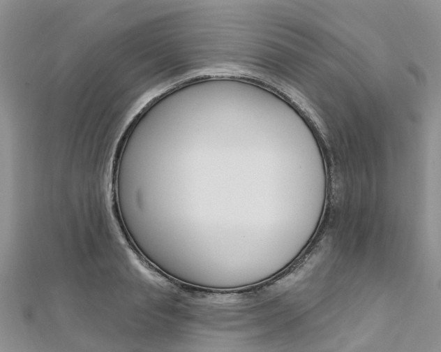 X0000112740845200908201033