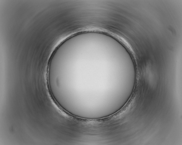 X0000112740847200908201033