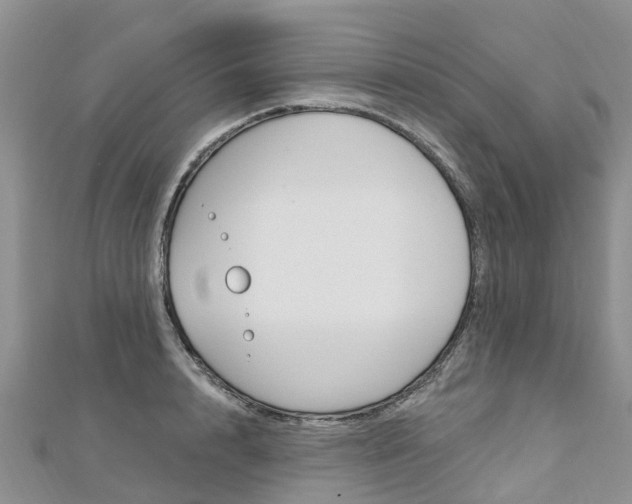 X0000112740848200908201033