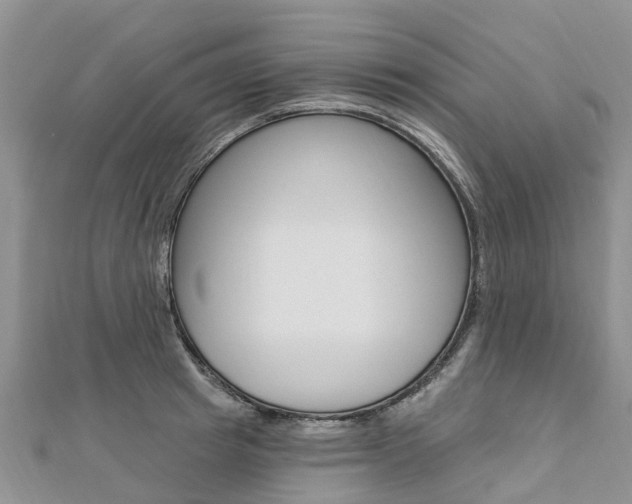 X0000112740849200908201033