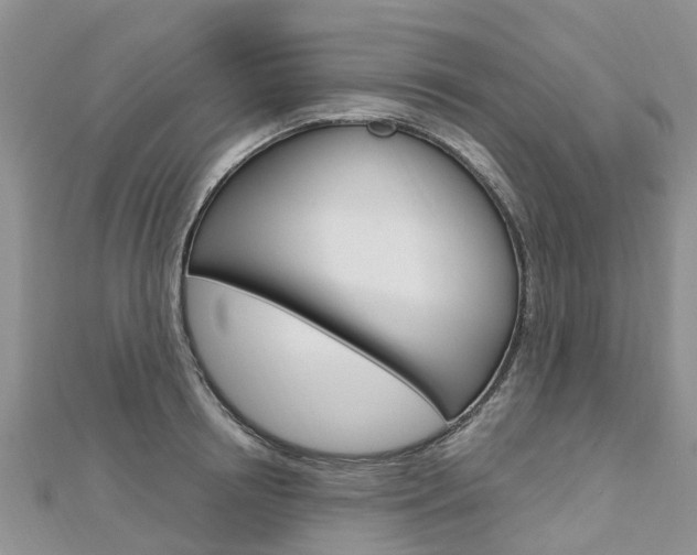 X0000112740850200908201033