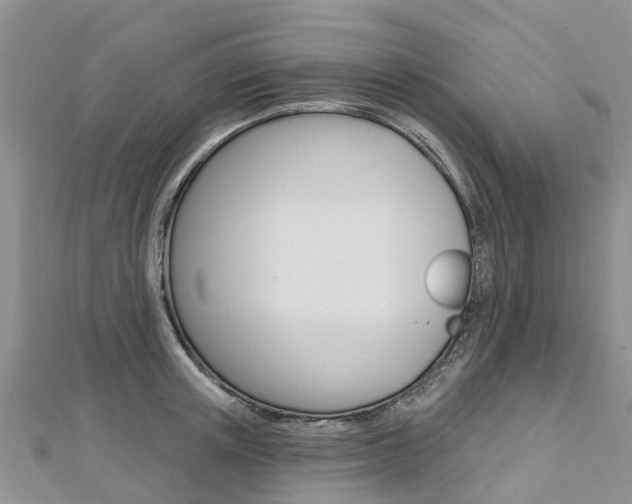 X0000112740851200908201033