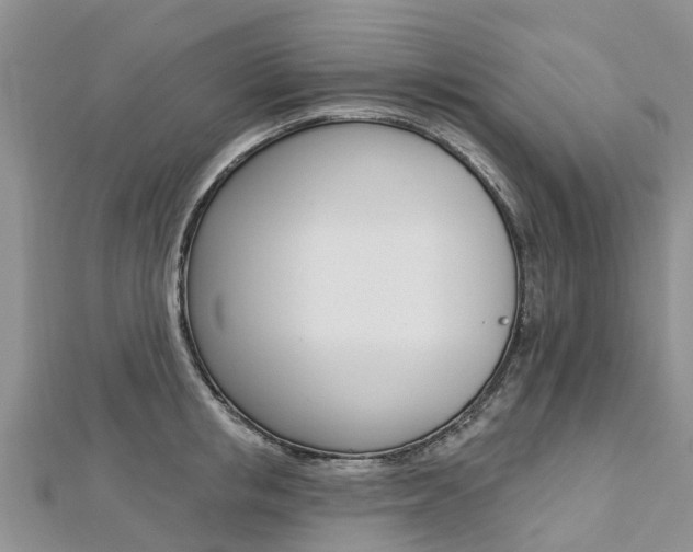 X0000112740853200908201033