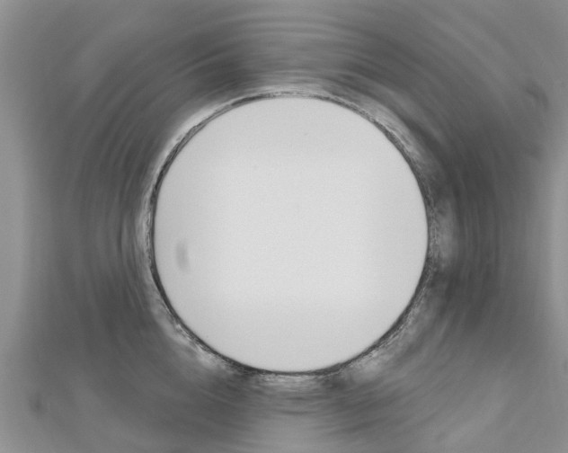 X0000112740856200908201033