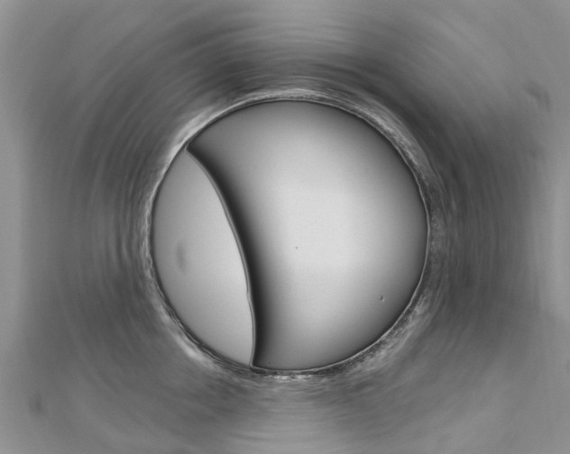 X0000112740858200908201033