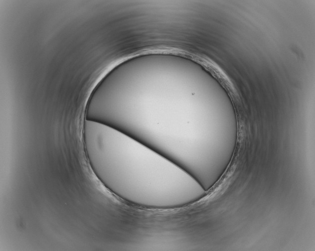 X0000112740860200908201033