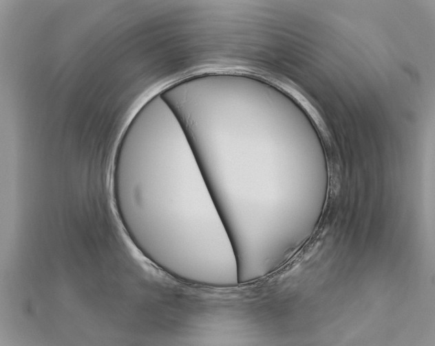 X0000112740861200908201033