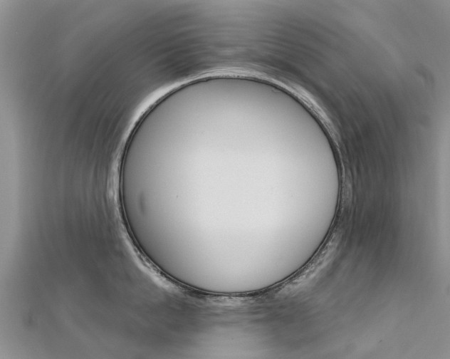 X0000112740862200908201033