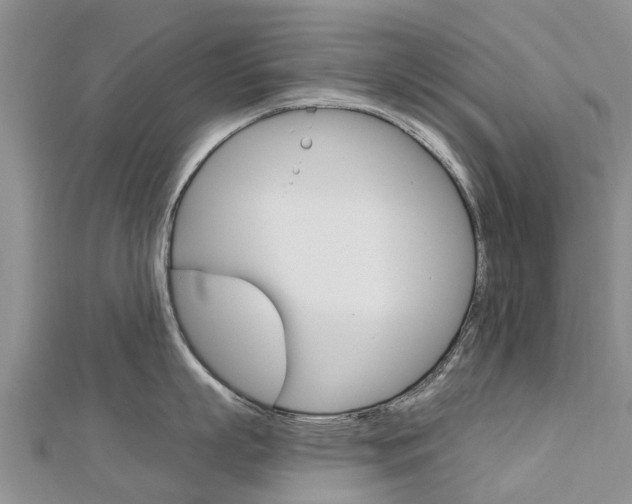 X0000112740863200908201033