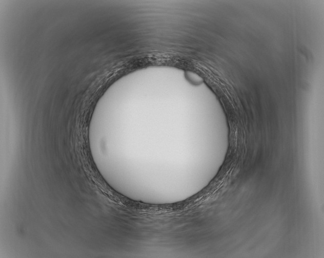 X0000112740865200908201033