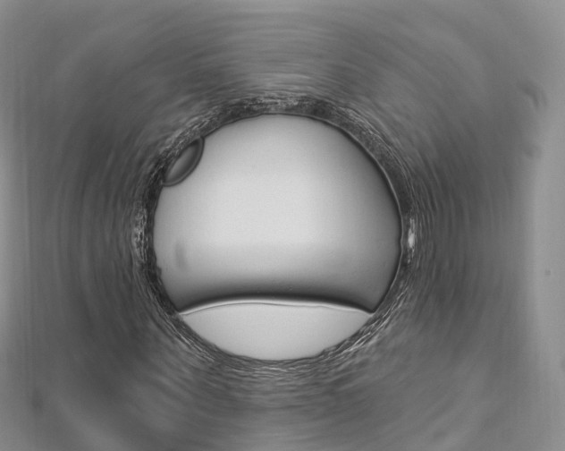 X0000112740867200908201033