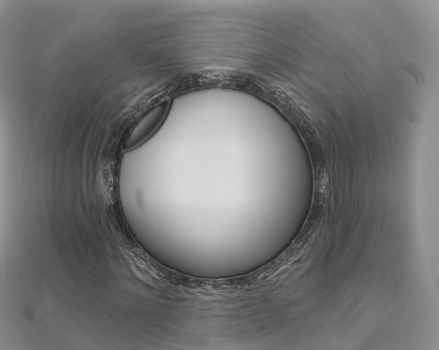 X0000112740868200908201033