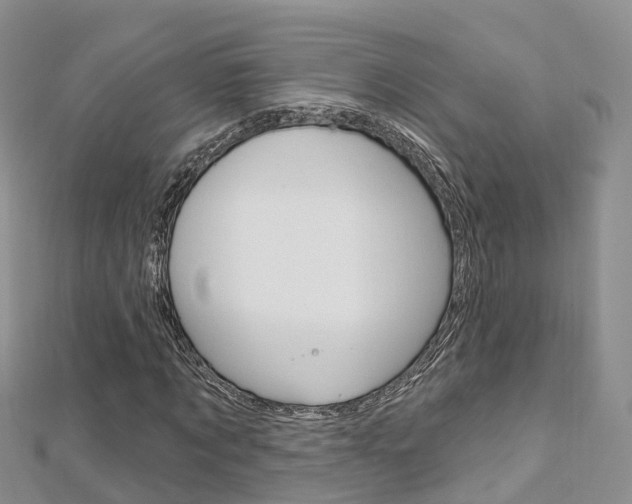 X0000112740869200908201033