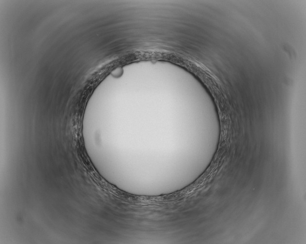 X0000112740870200908201033