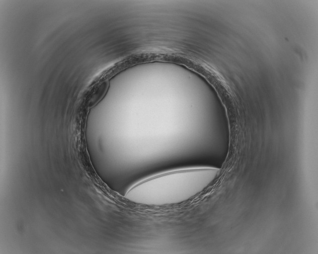 X0000112740872200908201033