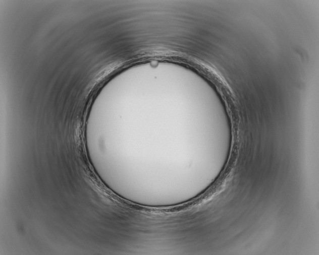 X0000112740873200908201033
