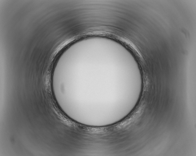 X0000112740874200908201033